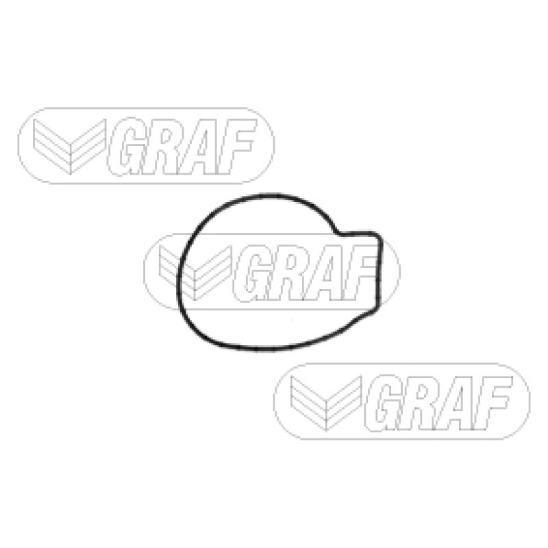 Pompe à eau GRAF PA1371 - Visuel 1