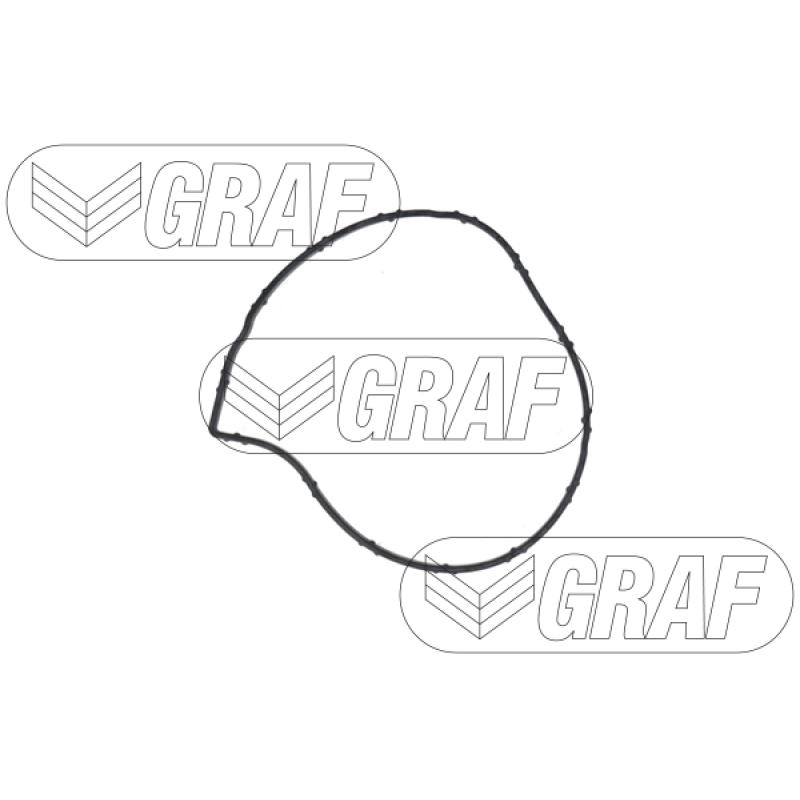 Pompe à eau GRAF PA1441 - Visuel 1