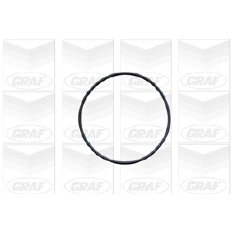 Pompe à eau GRAF PA443 - Visuel 1