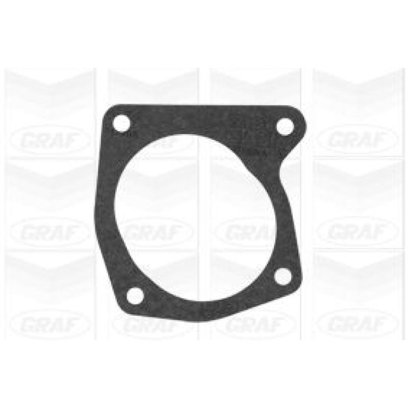 Pompe à eau GRAF PA590 - Visuel 1