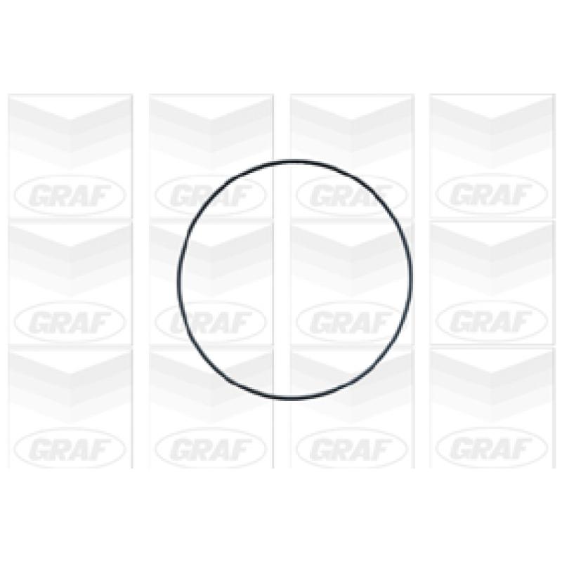 Pompe à eau GRAF PA671 - Visuel 1