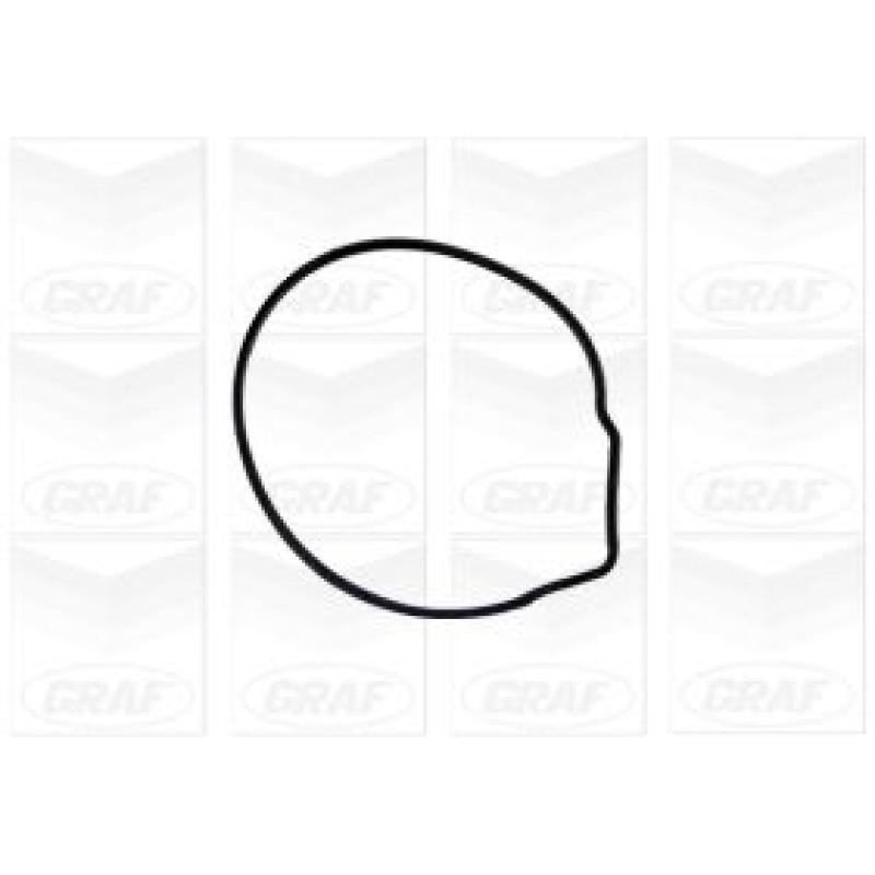 Pompe à eau GRAF PA676 - Visuel 1