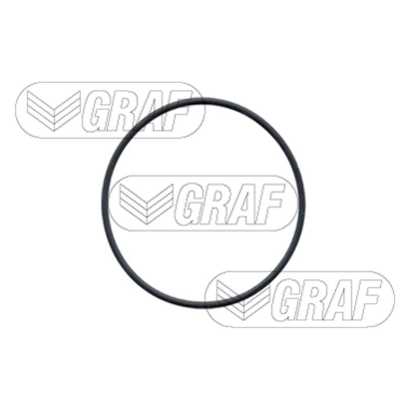 Pompe à eau GRAF PA683 - Visuel 1