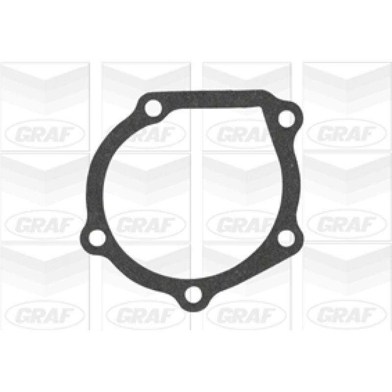 Pompe à eau GRAF PA718 - Visuel 1