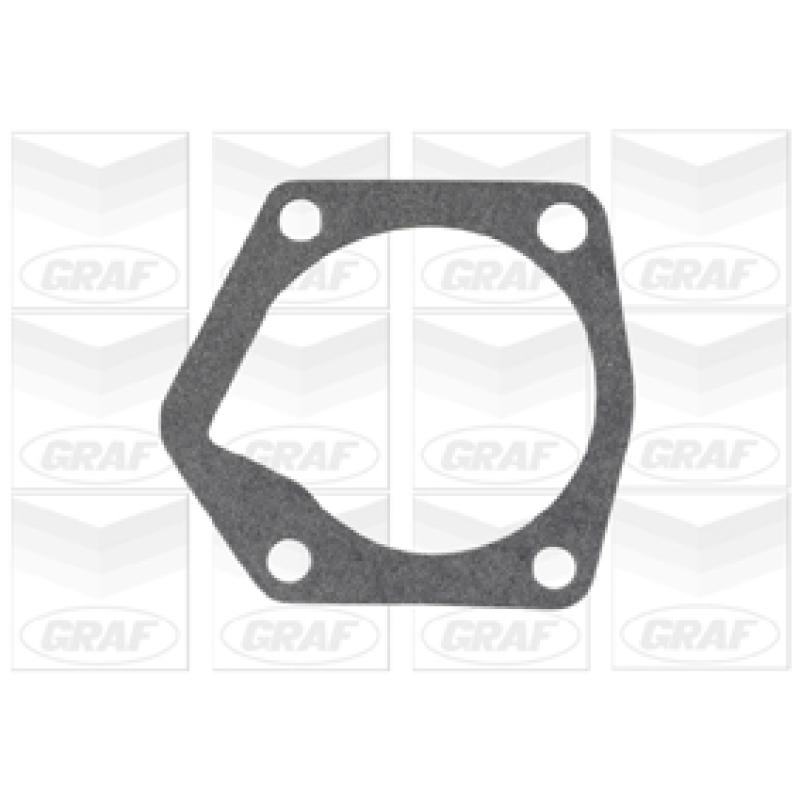 Pompe à eau GRAF PA805 - Visuel 1