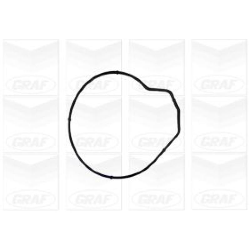 Pompe à eau GRAF PA855 - Visuel 1