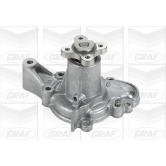 Pompe à eau GRAF OEM 2510002555 Pompe à eau GRAF OEM 2510002555