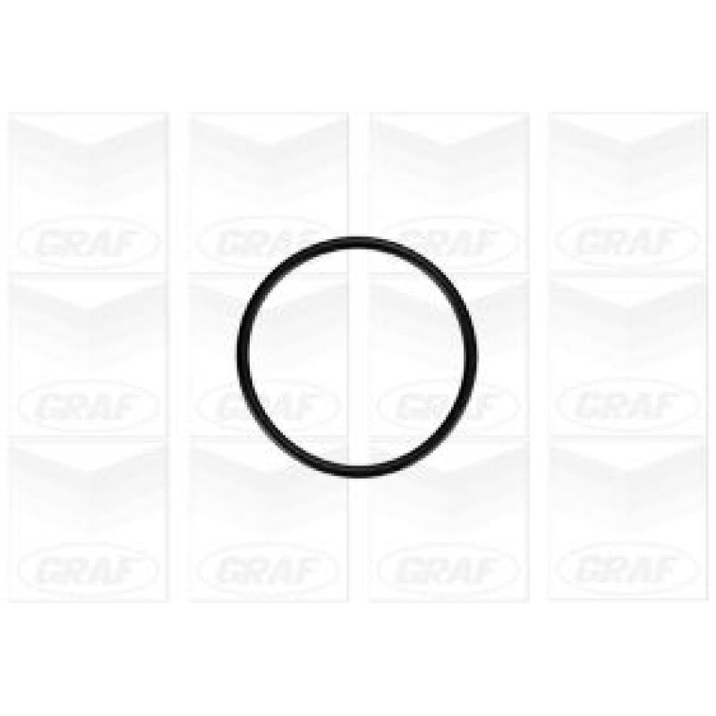 Pompe à eau GRAF PA879 - Visuel 1