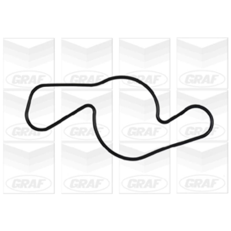 Pompe à eau GRAF PA917 - Visuel 1