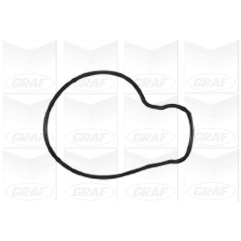 Pompe à eau GRAF PA943 - Visuel 1