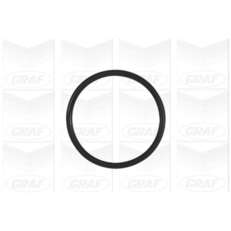 Pompe à eau GRAF PA945 - Visuel 1