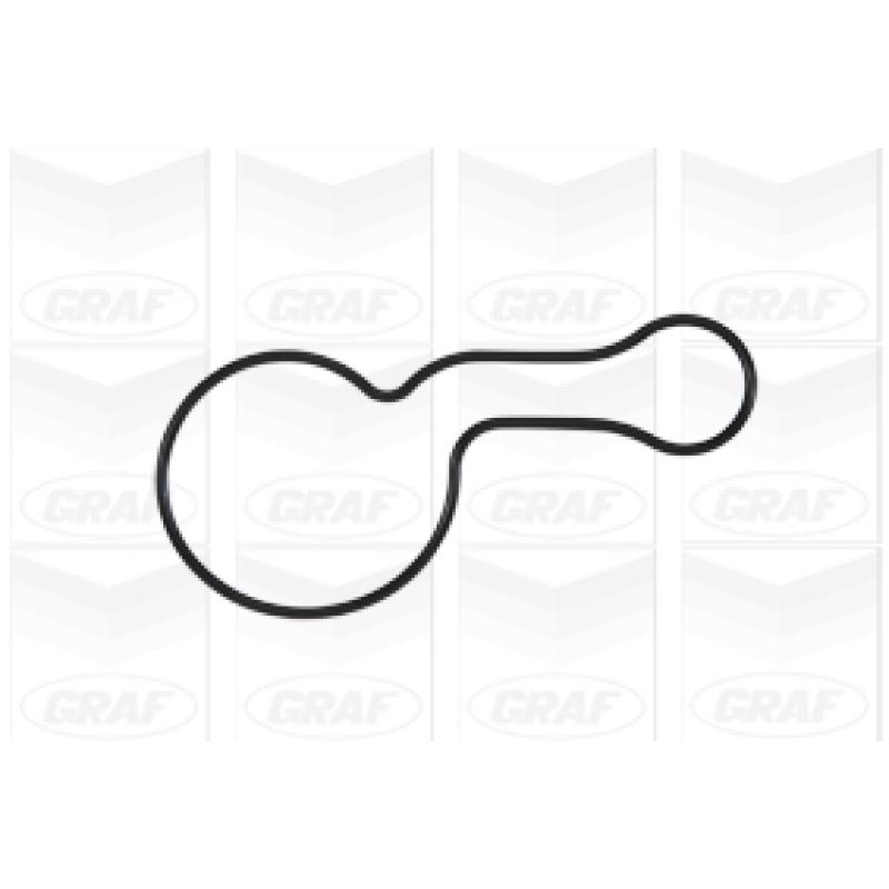 Pompe à eau GRAF PA949 - Visuel 1