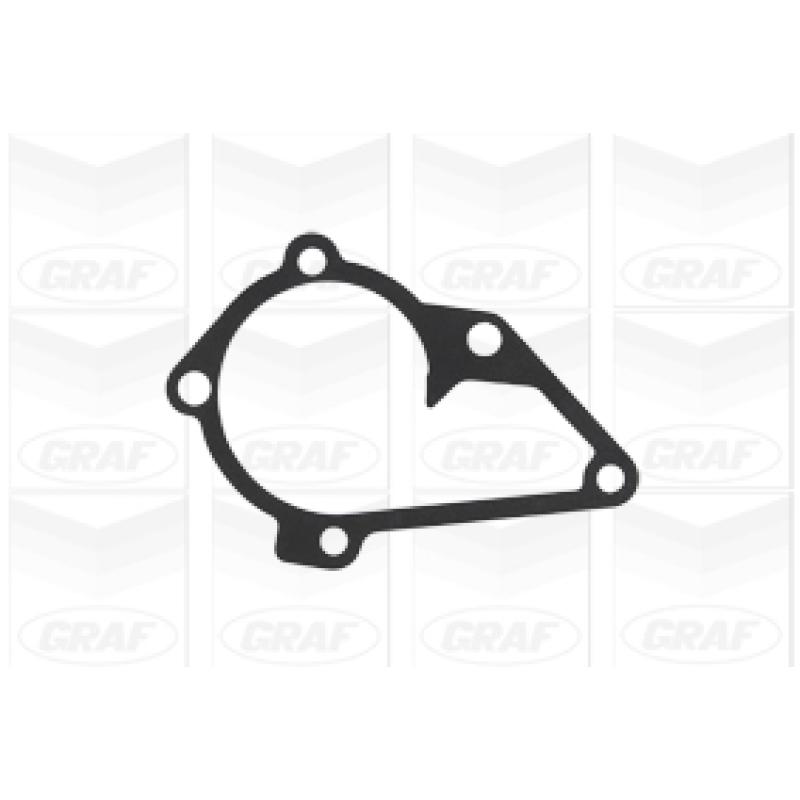 Pompe à eau GRAF PA950 - Visuel 1