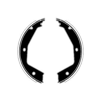 Jeu de mâchoires de frein, frein de stationnement RAICAM OEM 9566926980