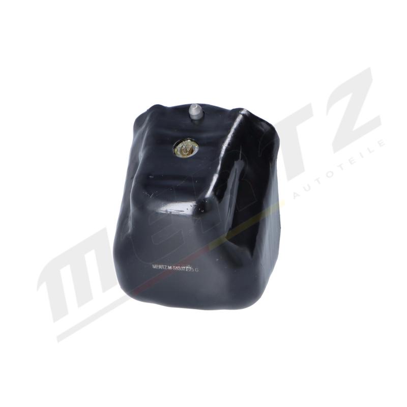 Support moteur MERTZ M-S5307 - Visuel 1