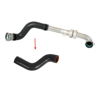 Gaine de suralimentation GOOM OEM 8200760281
