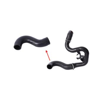 Gaine de suralimentation GOOM OEM 1379294080