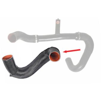 Gaine de suralimentation GOOM OEM 1379412080