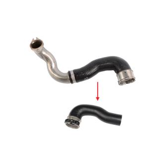 Gaine de suralimentation GOOM [AH-0791]