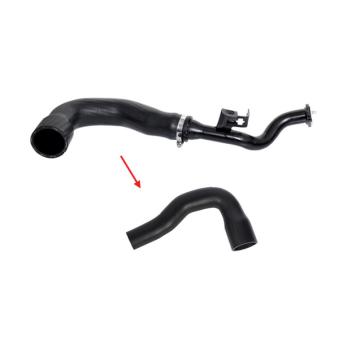 Gaine de suralimentation GOOM OEM 51901748 Gaine de suralimentation GOOM OEM 51901748