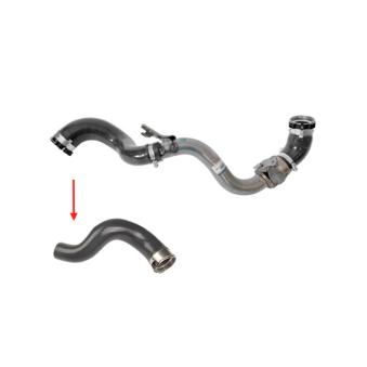 Gaine de suralimentation GOOM OEM 4422245