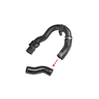 Gaine de suralimentation GOOM OEM 52087204