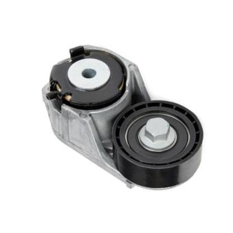 Tendeur de courroie, courroie trapézoïdale à nervures GOOM OEM 1131255