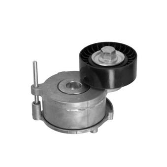 Tendeur de courroie, courroie trapézoïdale à nervures GOOM BT-0053