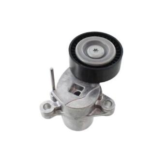 Tendeur de courroie, courroie trapézoïdale à nervures GOOM OEM 1761930