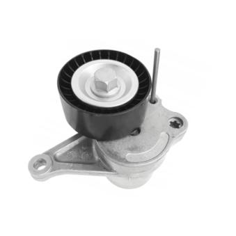 Tendeur de courroie, courroie trapézoïdale à nervures GOOM OEM 7701476645 Tendeur de courroie, courroie trapézoïdale à nervures GOOM OEM 7701476645