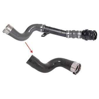 Gaine de suralimentation GOOM OEM 144606189R