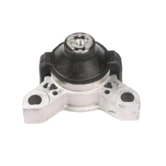 Support moteur GOOM OEM 1061115