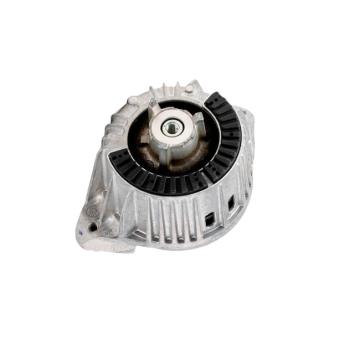 Support moteur GOOM OEM 2122400000