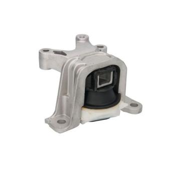 Support moteur GOOM OEM 112106387R