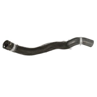 Durite de radiateur GOOM RH-0874