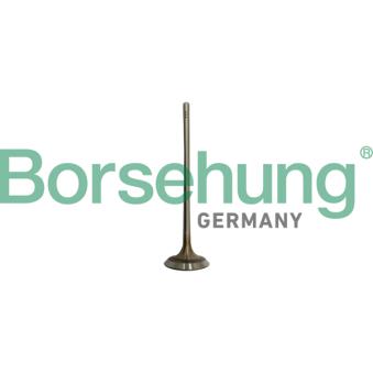 Soupape d'admission Borsehung [B10332]