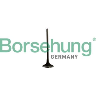 Soupape d'admission Borsehung B10334