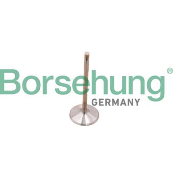 Jeu de segments de pistons Borsehung B10348