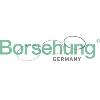 Jeu de segments de pistons Borsehung [B10368]