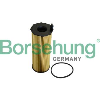 Filtre à huile Borsehung OEM 057115561L