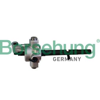 Pommeau Borsehung B10914