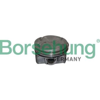 Piston Borsehung [B11135]