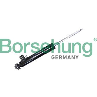 Jeu de 2 amortisseurs arrière Borsehung [B11179]