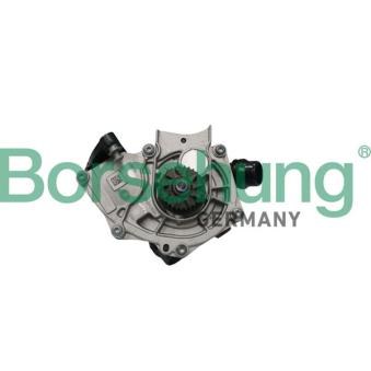 Kit pompe à eau Borsehung B11209 pour SEAT LEON 2.0 Cupra - 280cv
