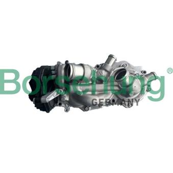 Pompe à eau, refroidissement du moteur Borsehung B11214 pour SEAT LEON 1.0 TSI Mild Hybrid - 110cv