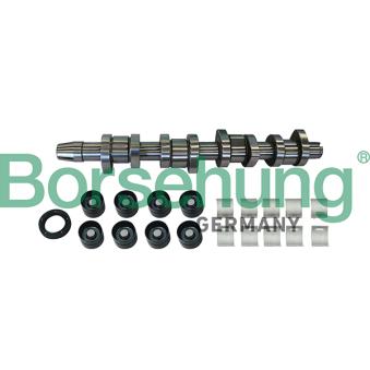 Jeu d'arbres à came Borsehung B11307 pour FORD GALAXY 1.9 TDI - 110cv