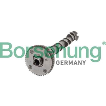 Arbre à came Borsehung B11319 pour AUDI A5 1.8 TFSI - 177cv Arbre à came Borsehung B11319 pour AUDI A5 1.8 TFSI - 177cv