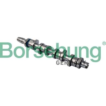 Arbre à came Borsehung [B11323]