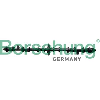 Dispositif de réglage électrique d'arbre à cames Borsehung [B11325]
