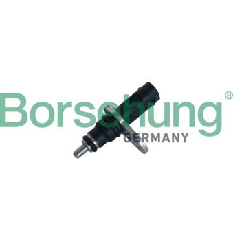Sonde de température, liquide de refroidissement Borsehung B11863 pour DACIA DOKKER 1.0 TSI - 110cv